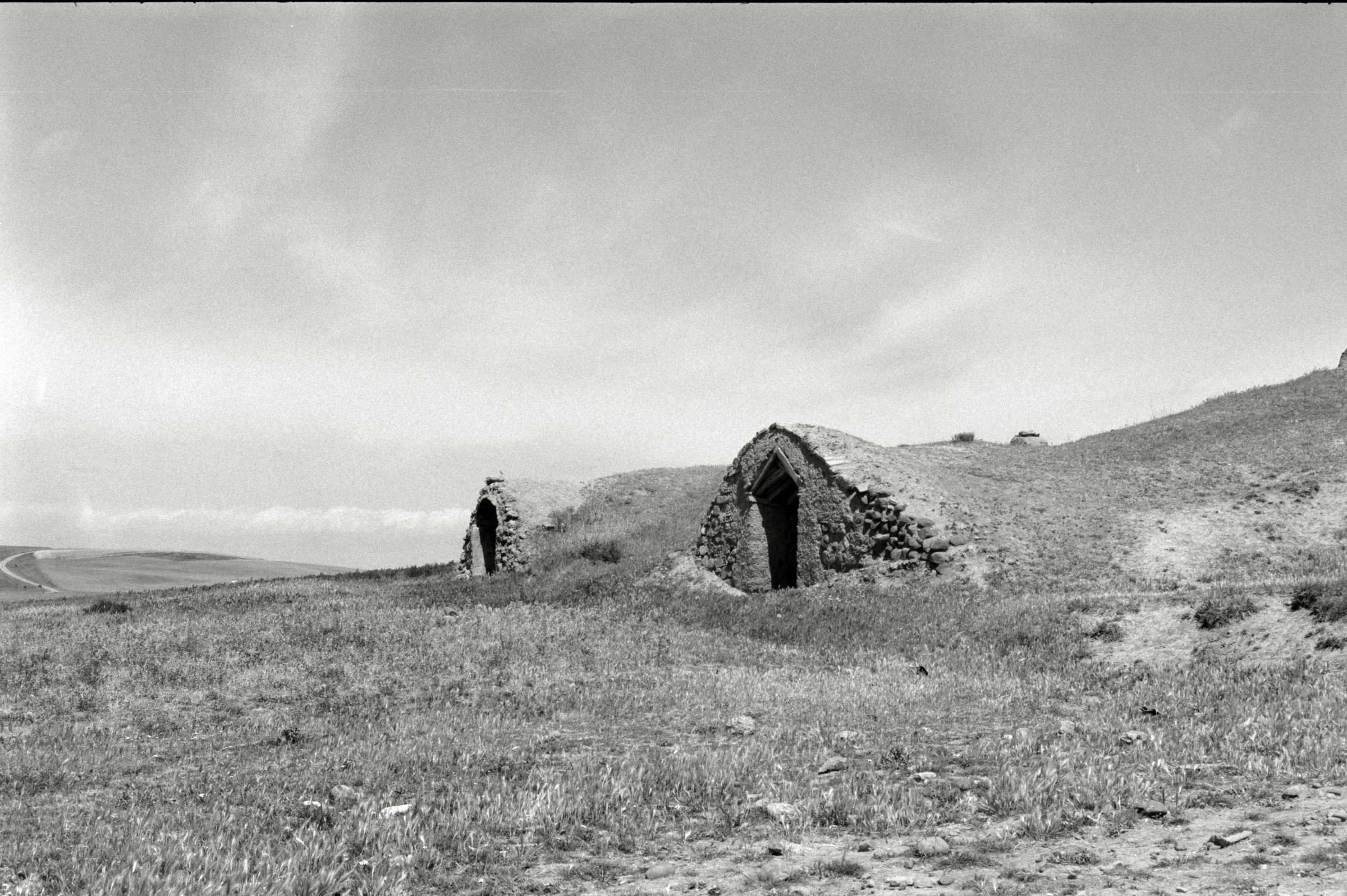 AHP F1995 05 010 sc240826 img02 NLP